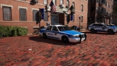 Police Simulator: Patrol Officers - Self-Defence Update