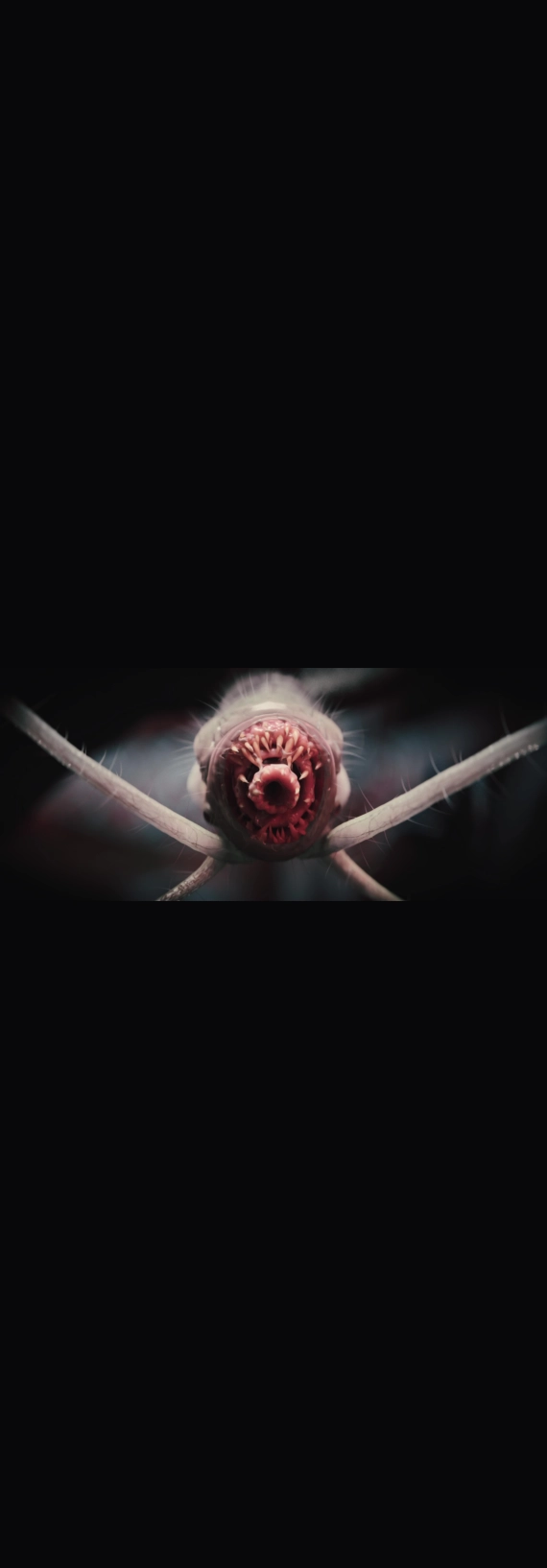 Baldur's Gate 3 - Opening Cinematic